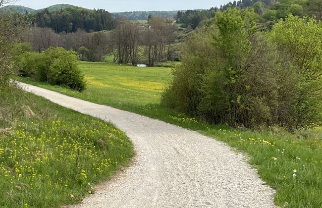 Aparthotel Parsberg Green Design Ferstl - Foto 52