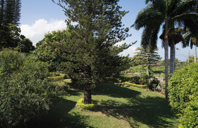 Hatfield South Villa - Photo 35