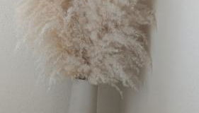 Ein Stückchen Himmel In Hattersheim ! - Foto 3