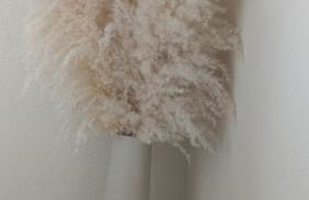 Ein Stückchen Himmel In Hattersheim ! - Foto 3