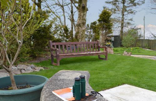 Bryntrisant - Foto 12