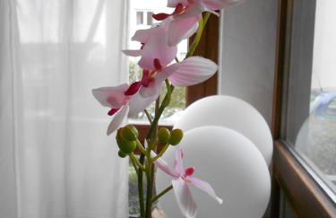 Apartments Hofgarten - Foto 30