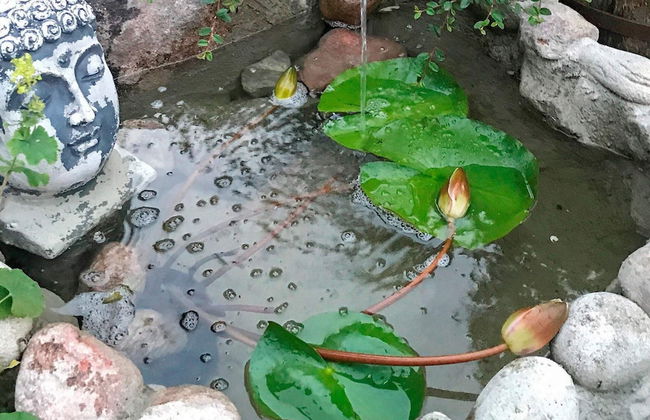 7 Person Holiday Home in Adelso - Photo 23