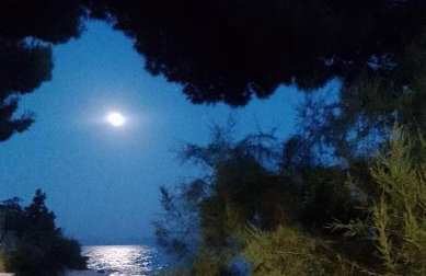 Villa Victoria - Foto 27