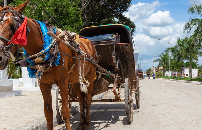 Tour del tabaco, el ron y el azúcar - Foto 1