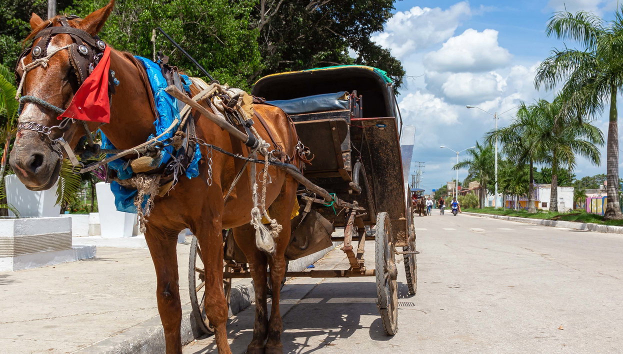 Visite sur le thème du tabac, du rhum et du sucre - Photo 1, Visite sur le thème du tabac, du rhum et du sucre
