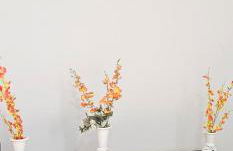 Apto 1º andar Centro 4 quartos com ar condicionado e estacionamento - Foto 14