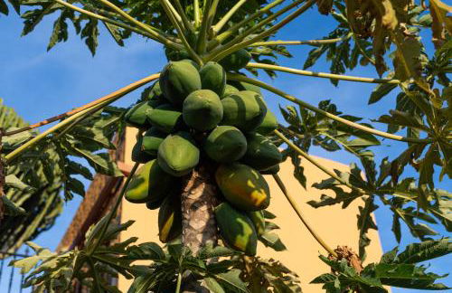 Villa la Atlantida - Photo 25