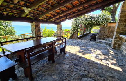 Villa Le Cannicelle - Foto 46