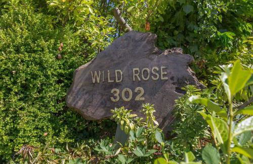 Sq Wild Rose 2 - Foto 11