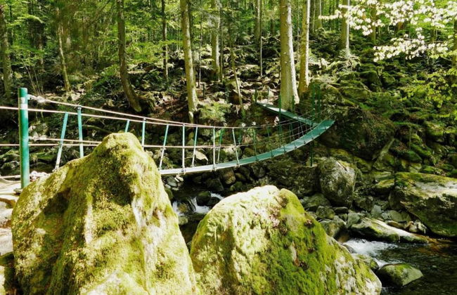 Appartement Sandra im Bayerischen Wald mit Pool - Foto 32