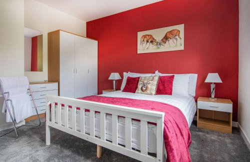 Sunny Hill - Ukc6884 - Foto 10