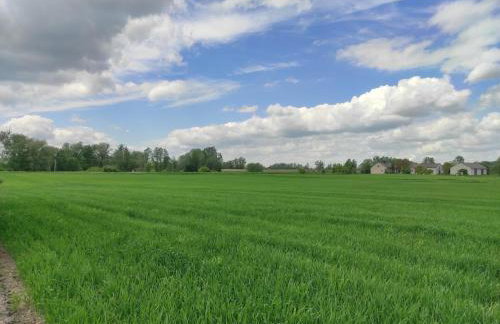 Agroturystyka Kobylnica nad Wisłą - Foto 61