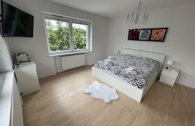 Modern House with Garden - Photo 4