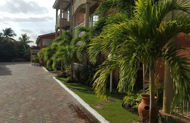 Palms of Liguanea - Foto 27