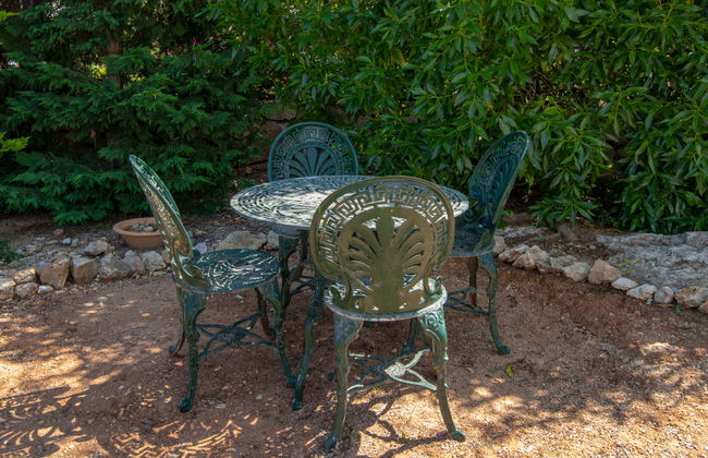 Los Buhitos - Foto 34