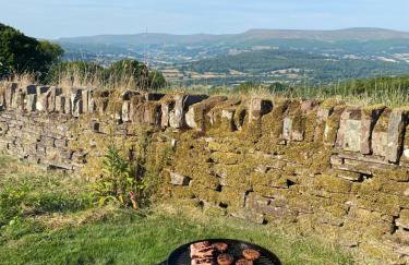 Pant Llwyd Farm - Foto 23