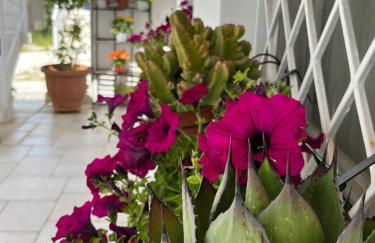 Casa alle Colonne - Foto 31