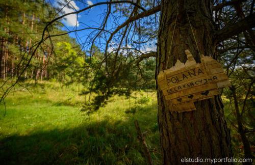 Orzechowy domek - Foto 47