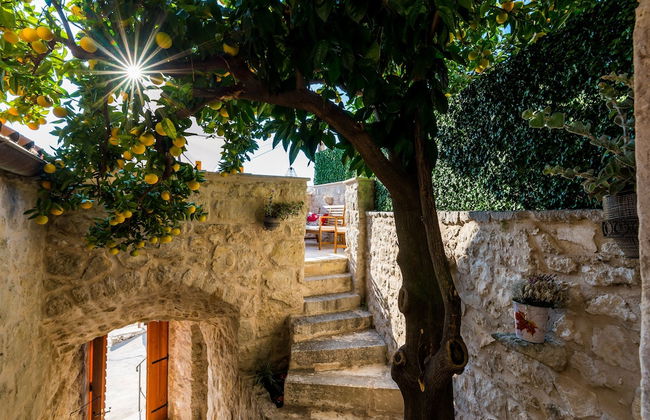 Villa Kanada - Foto 26