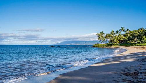 Aloha Moon - A Chic and Dreamy Modern Tropical Hideaway! - Foto 5