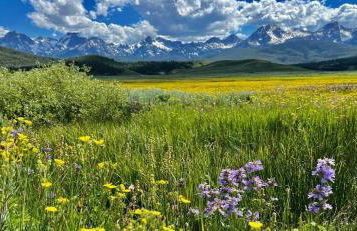 Stanley Spacious Home with Panoramic Views - Foto 30