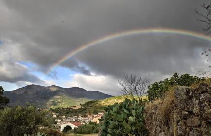 El portal de Beni - Foto 28