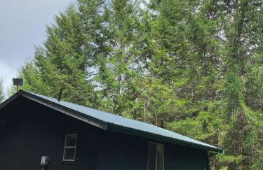 Enchanting Private Forest Retreat near Mt Rainier - Foto 64