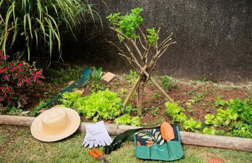 Villa Monni - Miguel Pereira - Foto 39