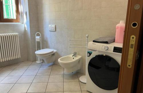 La coccinella - Foto 11