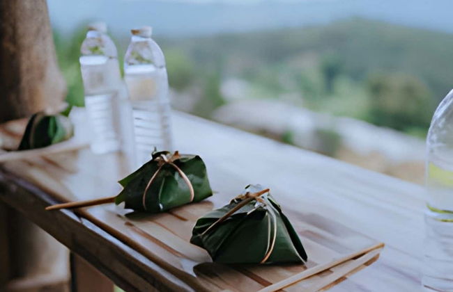 Excursão a uma protetora de elefantes - Foto 4