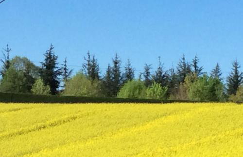 Gîte La Maison du Bonheur - Foto 37