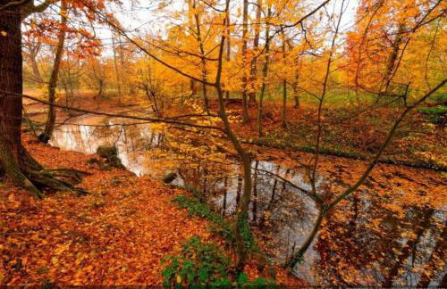 Lovely apartment betwen Paris and EuroDisney - Foto 35