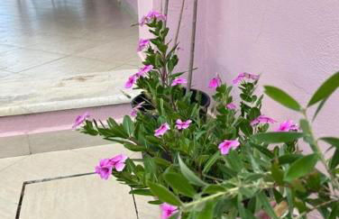 villa olga-corfu - Foto 40