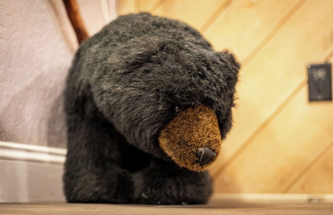 Ski In, Ski Out! 3 BDR Steps From Stagecoach Lift - Foto 26