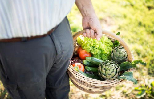 Kircherhof - Foto 14