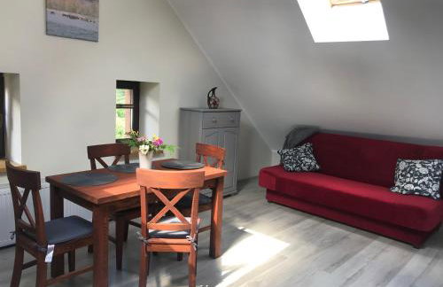 Mazurska Zagroda - Żabi Rechot - dom - stodoła - jacuzi-sauna - Photo 24