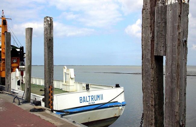 Ferienhaus Albatros in Nessmersiel - Foto 17