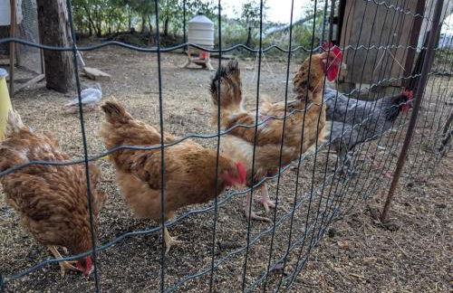 La casa delle Lune - Foto 33