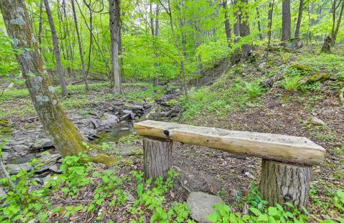 Cozy Catskills Cabin - 12 Mi to Windham Mountain! - Foto 28