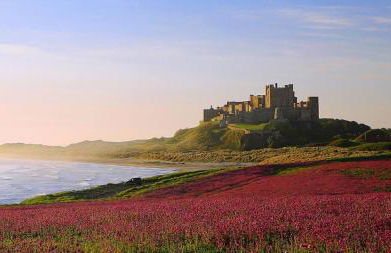 2 Bed in Bamburgh oc-gd1437 - Foto 19