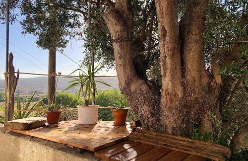 Casa Anneli - relaxing under the olive tree - Foto 36
