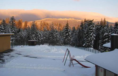 Haus Spannbauer - Foto 5