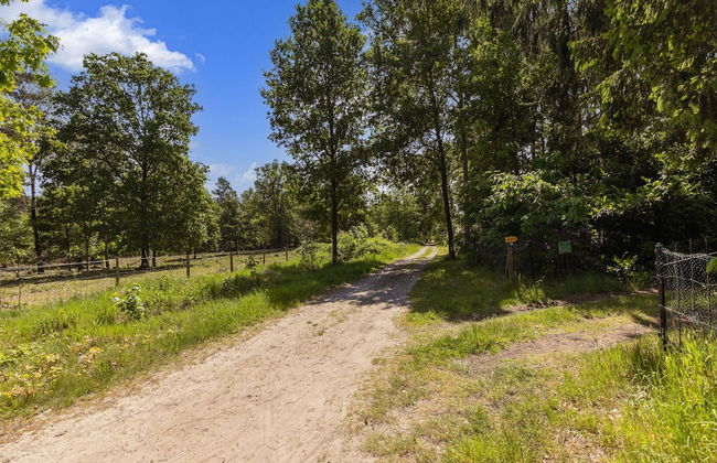 Lovely Chalet in Arendonk With Terrace - Foto 39