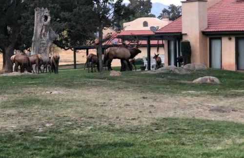 Beautiful Mountain Home - Photo 45