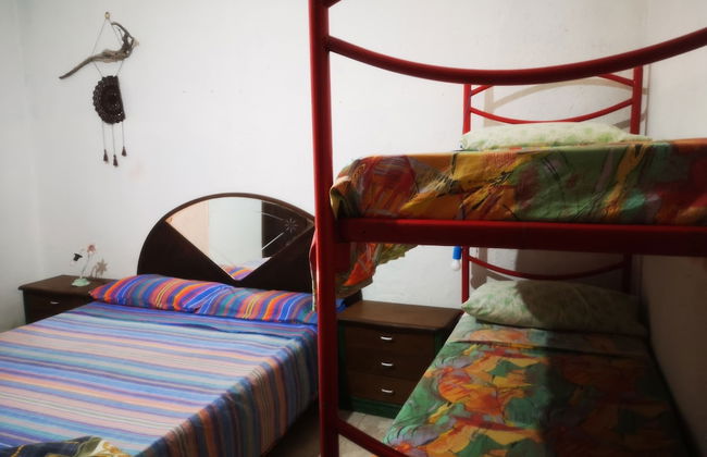 Country House in the Su Gologone Area 30 km From Cala Gonone 5 km From Oliena - Photo 38