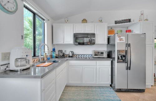 Cactus Fountain - Foto 7