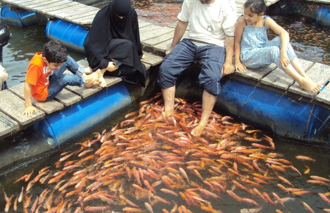 Safari sur la Madhu River - Excursion d'une journée - Photo 2