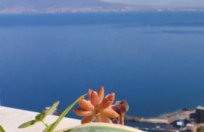 Dimora del Conte Sorrento coast seaview - Foto 20