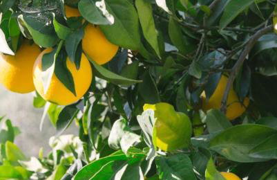 La colina buena - cosy casita for nature lovers - Foto 30